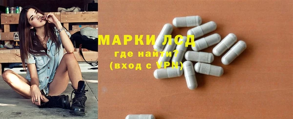 индика Краснотурьинск