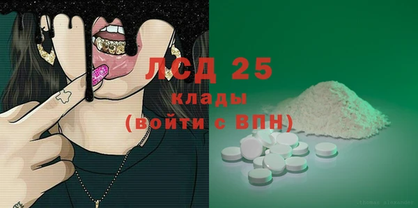 индика Краснотурьинск