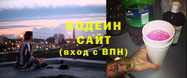 индика Краснотурьинск