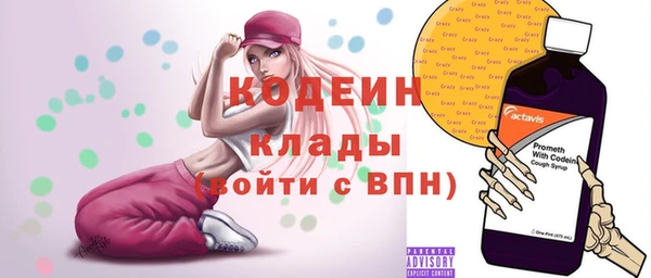 индика Краснотурьинск