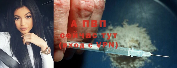 индика Краснотурьинск
