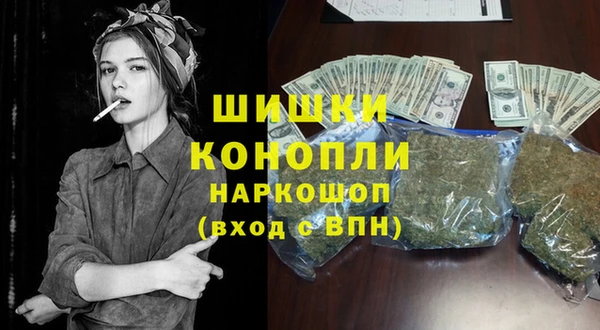 индика Краснотурьинск