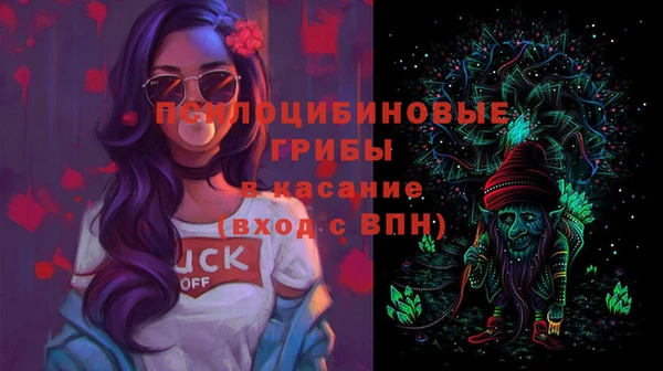 индика Краснотурьинск