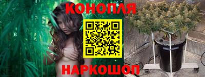 ALPHA-PVP Гатчина