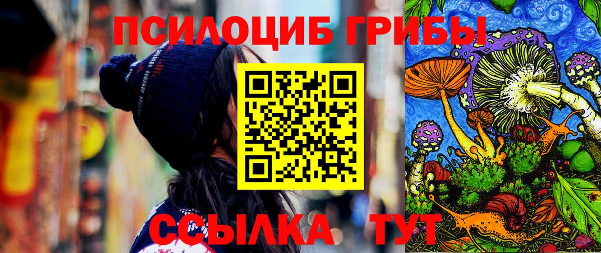 Галлюциногенные грибы Cubensis Балаково