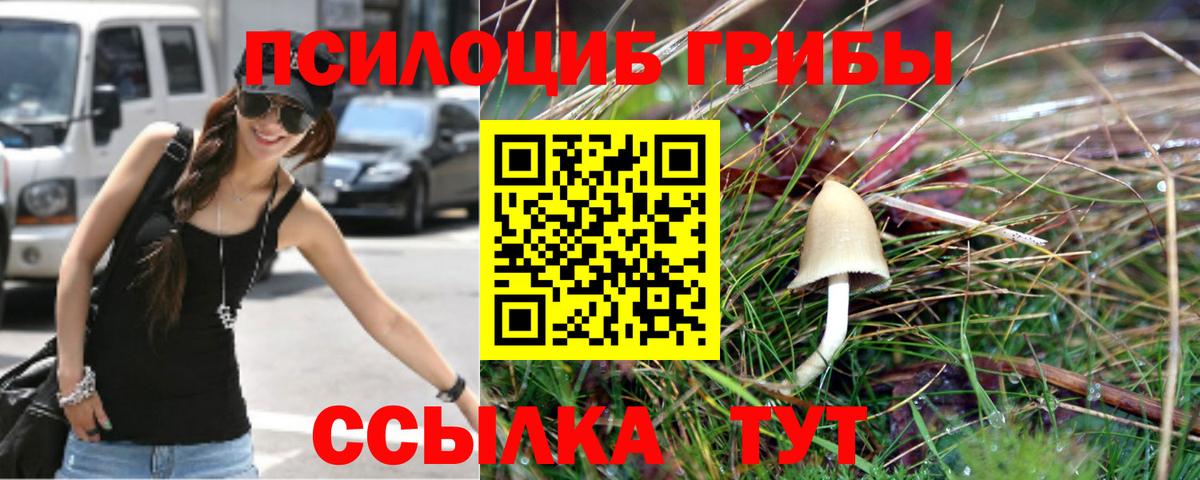 Галлюциногенные грибы прущие грибы Балаково