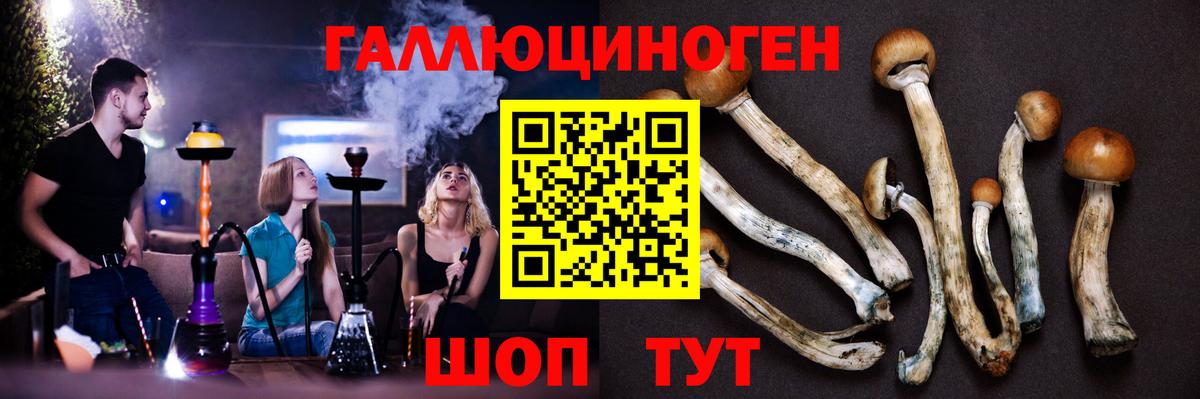 Балаково  Галлюциногенные грибы Magic Shrooms  Вход с VPN 