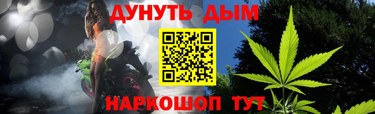 Каннабис сатива Балаково